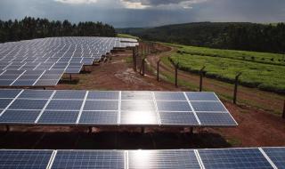 Solar Farming Changoi